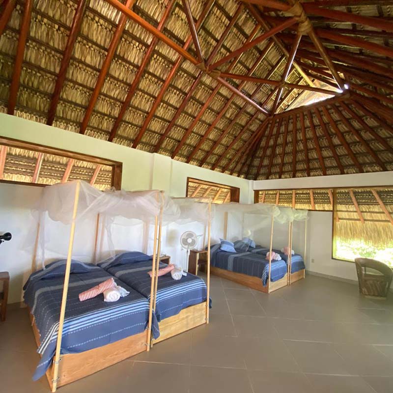 Suite Ébano with 4 single beds